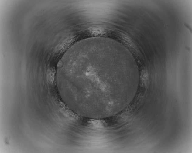 X0000102240417200808221335