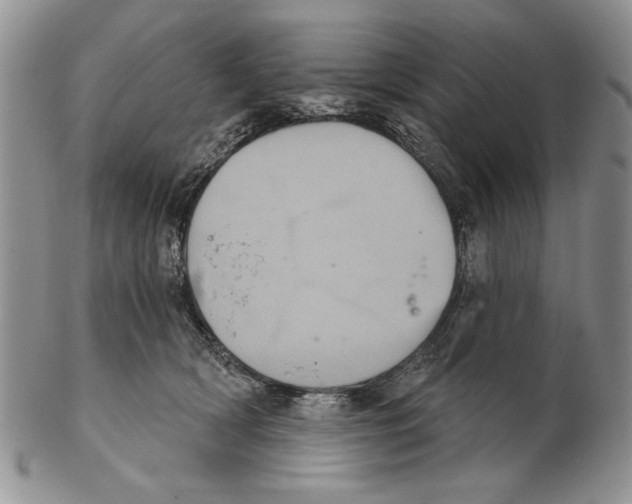 X0000102240418200808221335