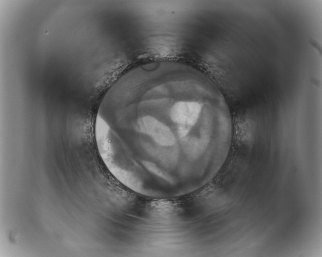 X0000102240419200808221335