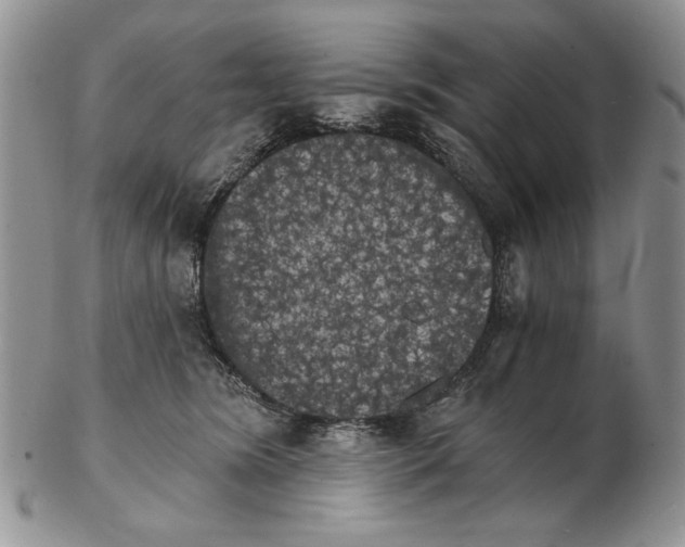 X0000102240420200808221335