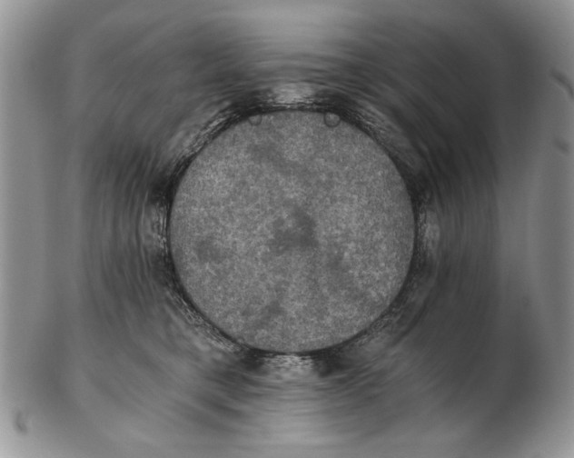 X0000102240421200808221335