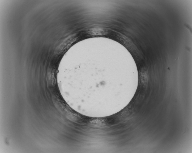 X0000102240422200808221335