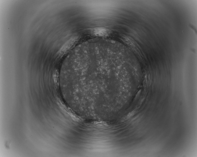 X0000102240424200808221335