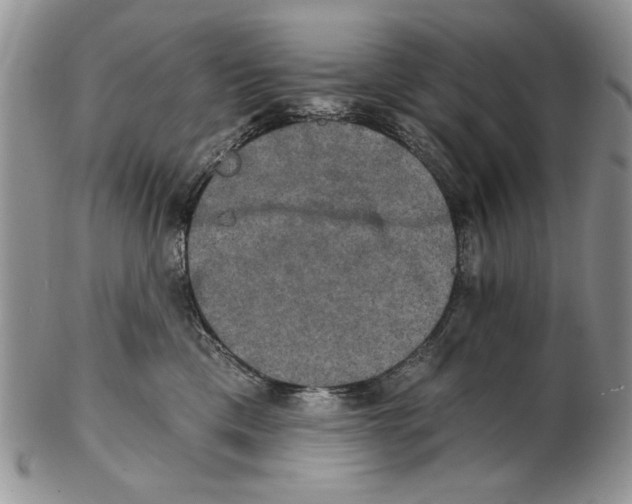 X0000102240425200808221335