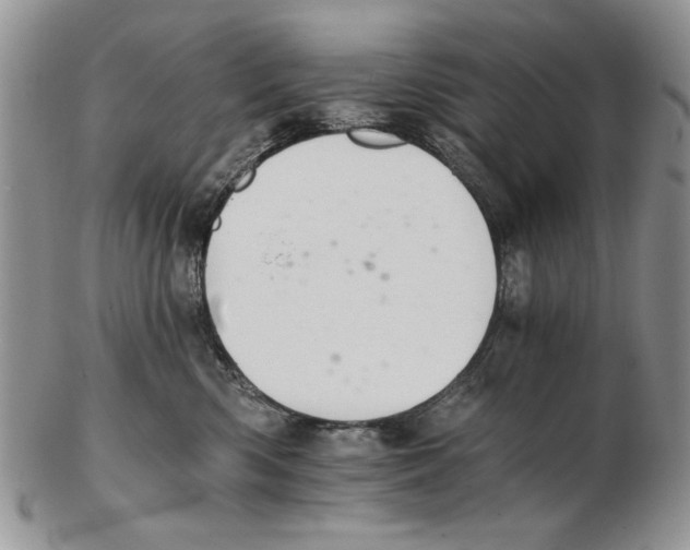 X0000102240426200808221335