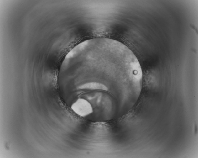 X0000102240427200808221335