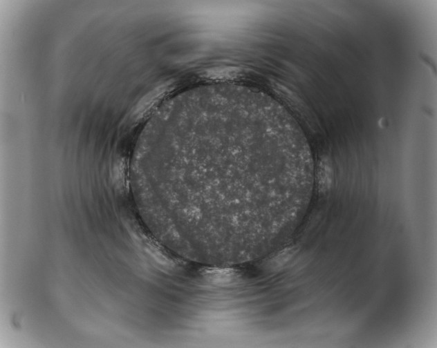 X0000102240428200808221335