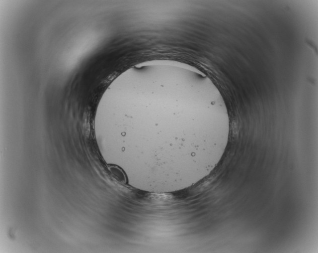 X0000102240429200808221335