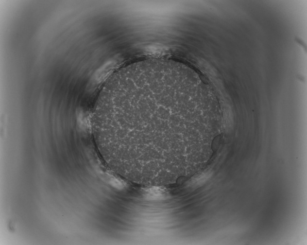 X0000102240432200808221335