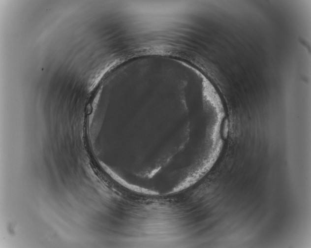 X0000102240434200808221334