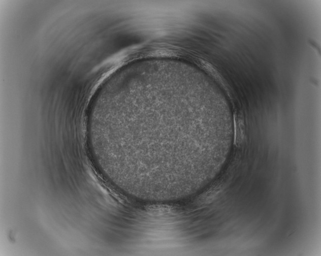 X0000102240435200808221334