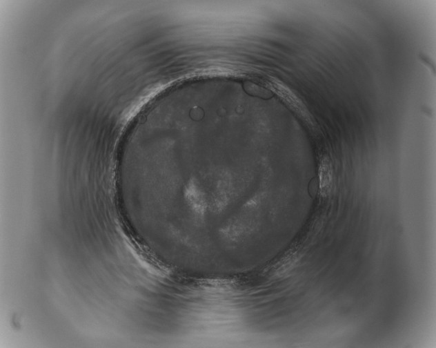 X0000102240436200808221334