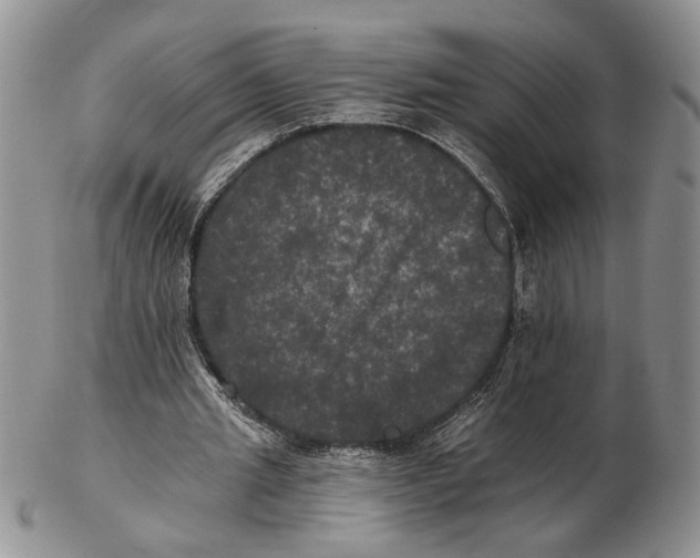 X0000102240437200808221334