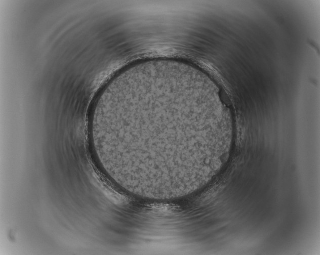 X0000102240439200808221334