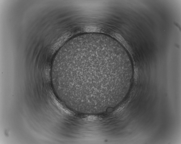 X0000102240441200808221334