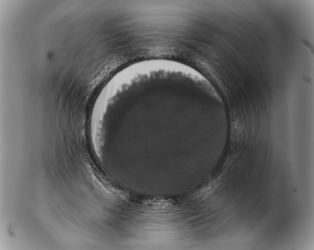 X0000102240443200808221334