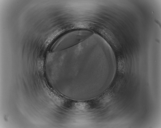 X0000102240444200808221334