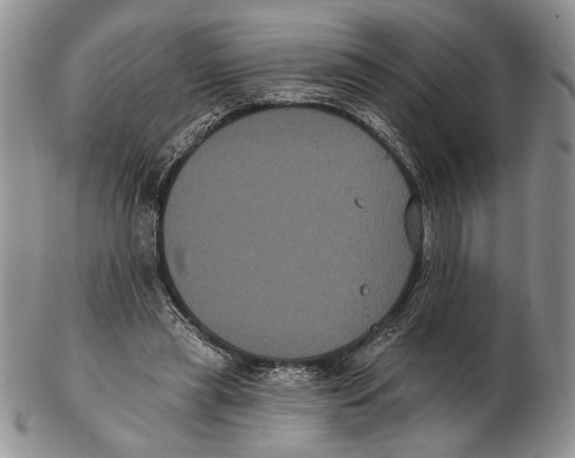 X0000102240445200808221334