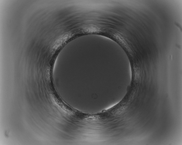 X0000102240447200808221334