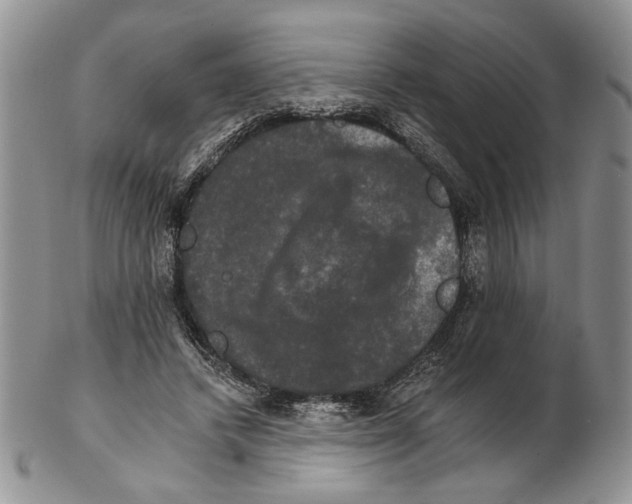 X0000102240448200808221334