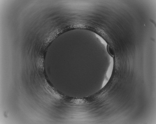 X0000102240449200808221334