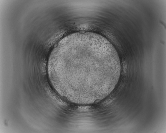 X0000102240450200808221334