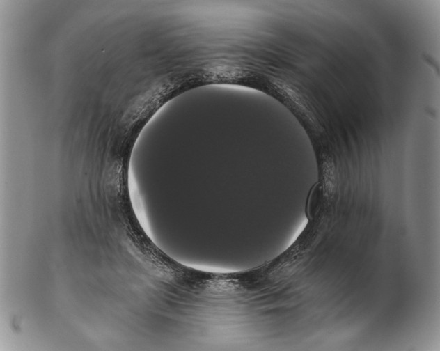 X0000102240451200808221334