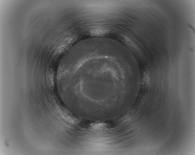 X0000102240452200808221334