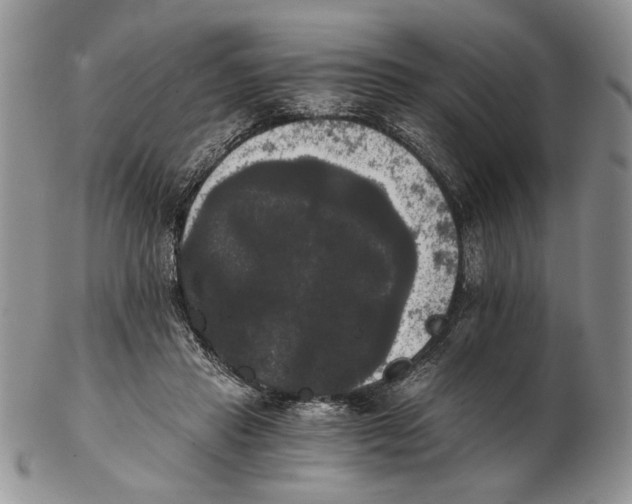 X0000102240453200808221334