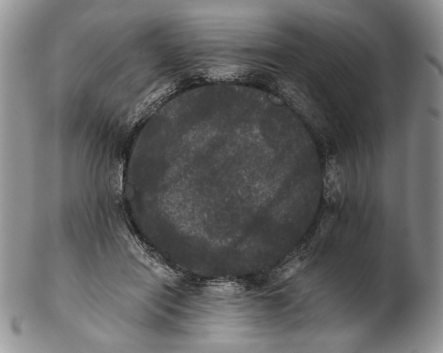 X0000102240454200808221334