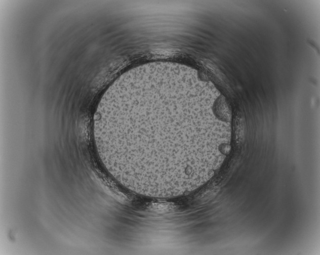 X0000102240455200808221334