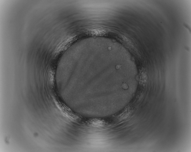 X0000102240456200808221334