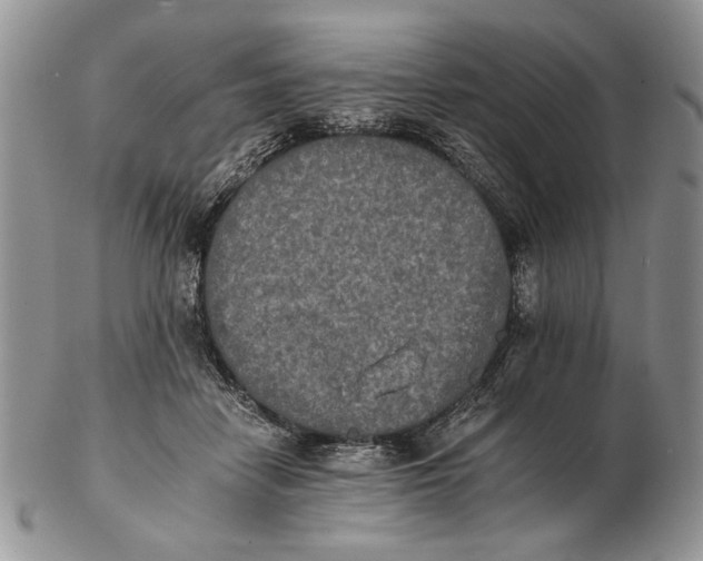 X0000102240458200808221334