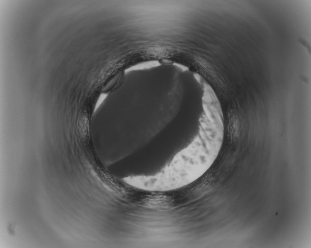 X0000102240459200808221334