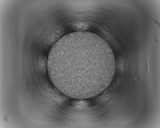 X0000102240460200808221334