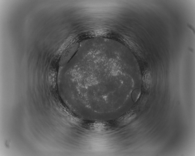 X0000102240462200808221334