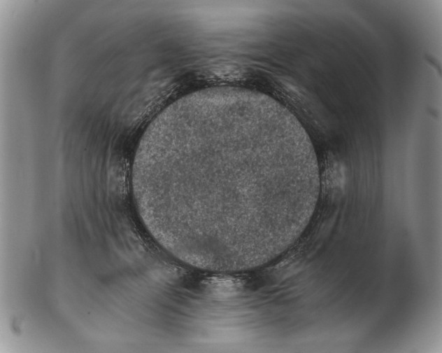 X0000102240464200808221334