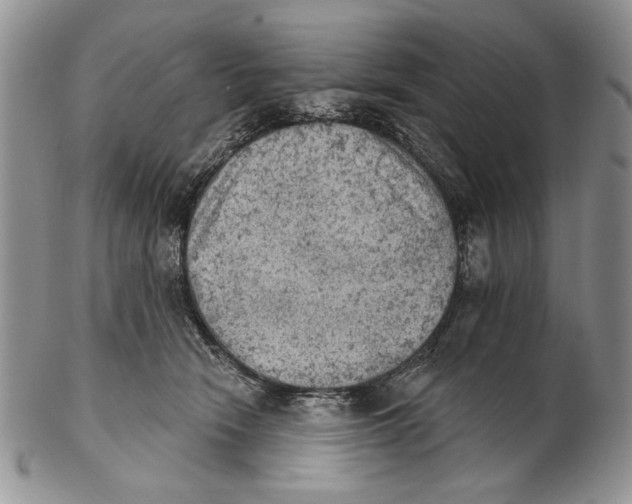 X0000102240466200808221334