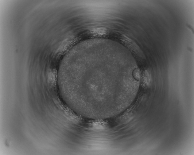 X0000102240468200808221334