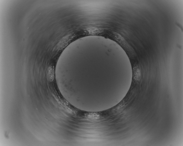 X0000102240471200808221334