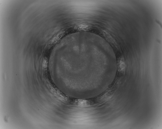 X0000102240472200808221334