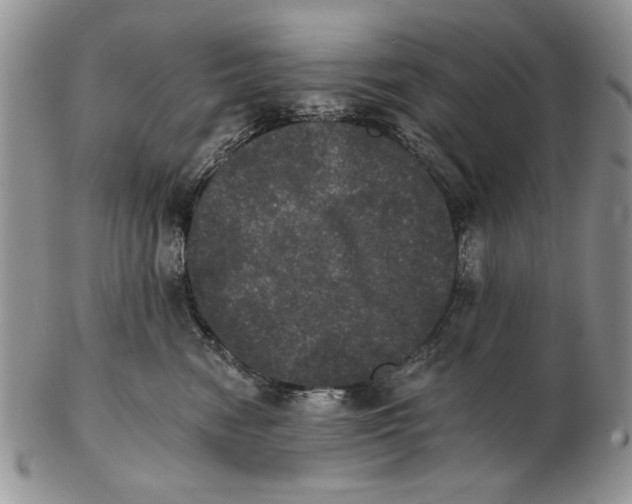 X0000102240474200808221334