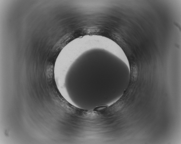 X0000102240475200808221334