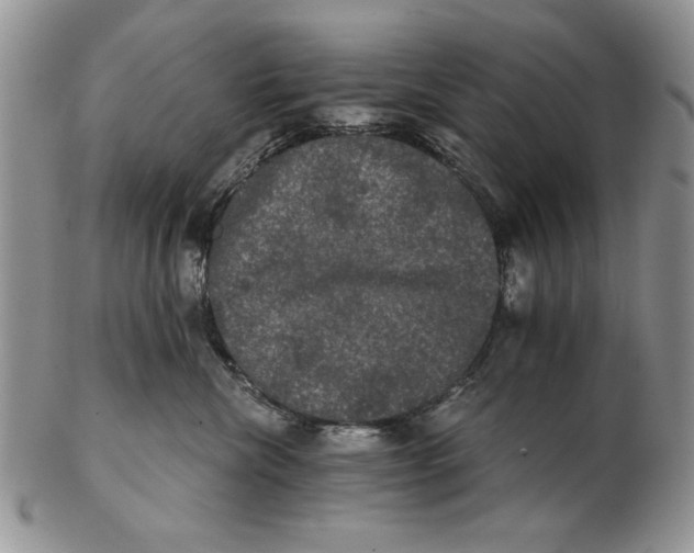 X0000102240476200808221334