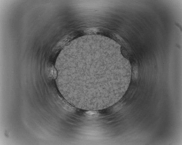 X0000102240477200808221334