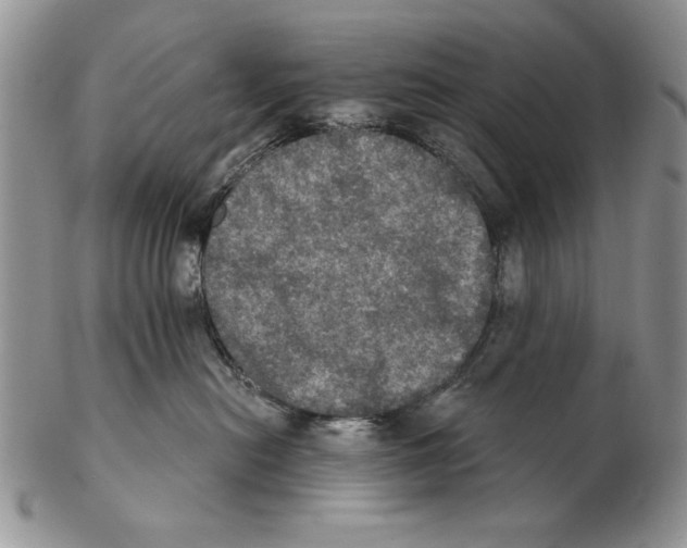 X0000102240478200808221334