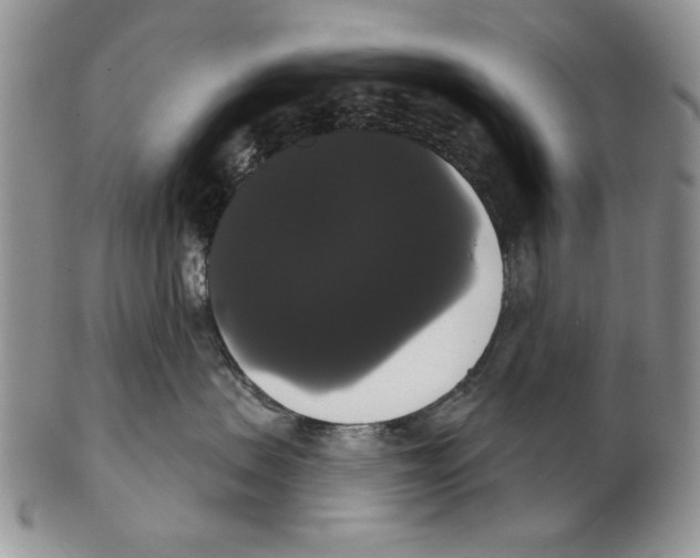 X0000102240479200808221334