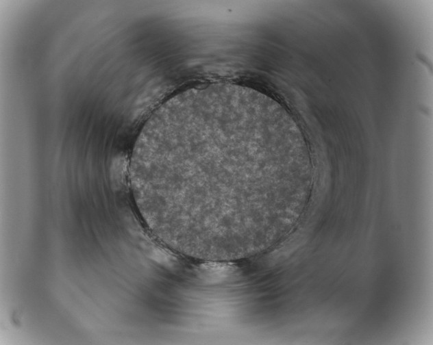 X0000102240480200808221334