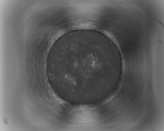 X0000102240481200808221334