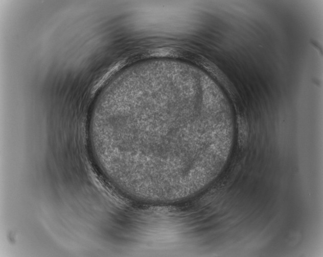 X0000102240482200808221334